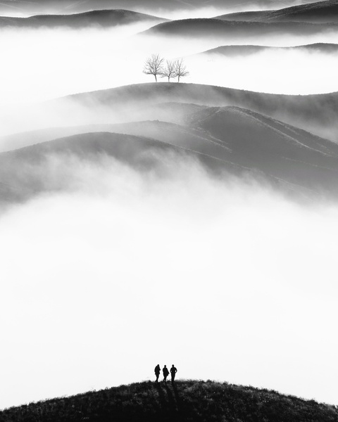Photograph Milad Saeedi Three on One Eyeland